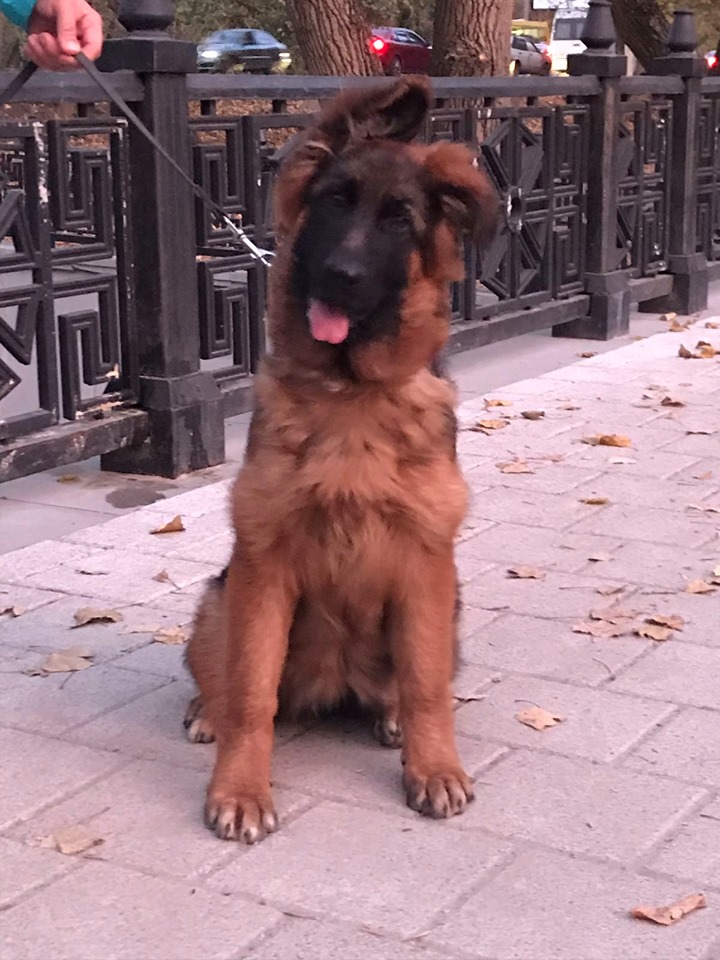  5 месяцев.jpg